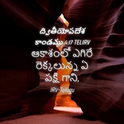 Picture 04 - ద్వితీయోపదేశ కాండము 4:17 TELIRV - ఆకాశంలో ఎగిరే - Bible Verse Picture