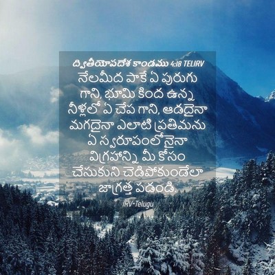 Picture 04 - ద్వితీయోపదేశ కాండము 4:18 TELIRV - నేలమీద పాకే ఏ - Bible Verse Picture