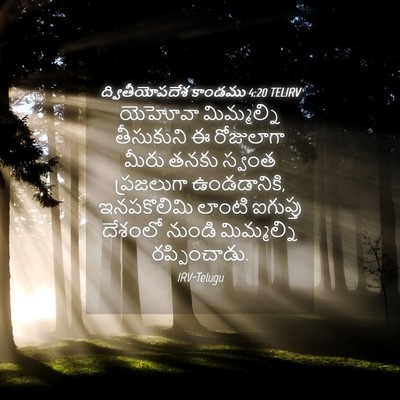 Picture 04 - ద్వితీయోపదేశ కాండము 4:20 TELIRV - యెహోవా మిమ్మల్ని - Bible Verse Picture