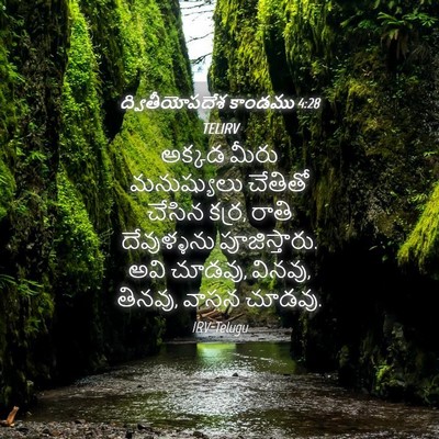 Picture 04 - ద్వితీయోపదేశ కాండము 4:28 TELIRV - అక్కడ మీరు - Bible Verse Picture