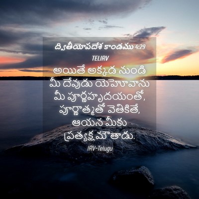 Picture 04 - ద్వితీయోపదేశ కాండము 4:29 TELIRV - అయితే అక్కడ నుండి - Bible Verse Picture