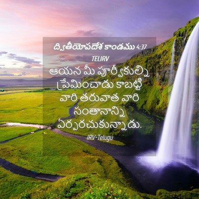 Picture 04 - ద్వితీయోపదేశ కాండము 4:37 TELIRV - ఆయన మీ - Bible Verse Picture