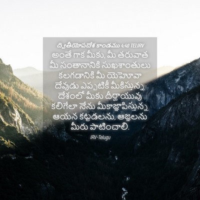 Picture 04 - ద్వితీయోపదేశ కాండము 4:40 TELIRV - అంతే గాక మీకు, మీ - Bible Verse Picture