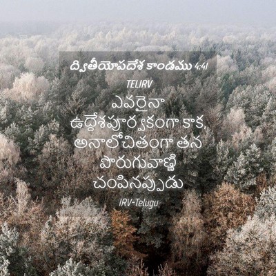 Picture 04 - ద్వితీయోపదేశ కాండము 4:41 TELIRV - ఎవరైనా - Bible Verse Picture