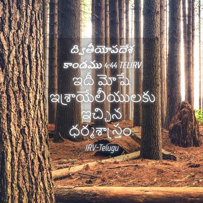 Picture 04 - ద్వితీయోపదేశ కాండము 4:44 TELIRV - ఇదీ మోషే - Bible Verse Picture