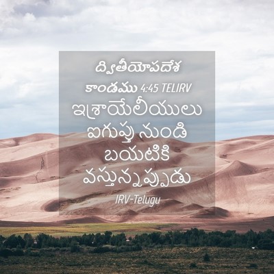 Picture 04 - ద్వితీయోపదేశ కాండము 4:45 TELIRV - ఇశ్రాయేలీయులు - Bible Verse Picture