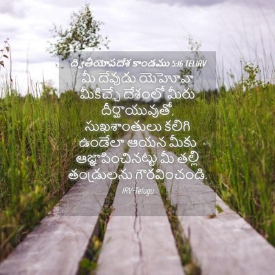 Picture 04 - ద్వితీయోపదేశ కాండము 5:16 TELIRV - మీ దేవుడు యెహోవా - Bible Verse Picture