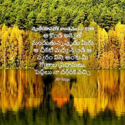 Picture 04 - ద్వితీయోపదేశ కాండము 5:23 TELIRV - ఆ కొండ అగ్నితో - Bible Verse Picture