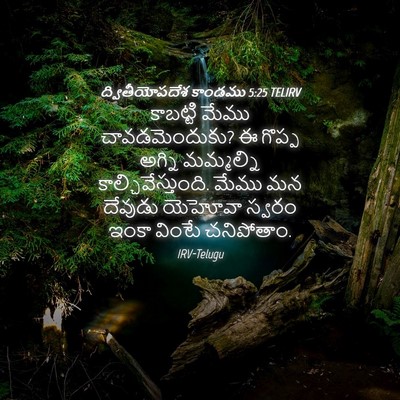 Picture 04 - ద్వితీయోపదేశ కాండము 5:25 TELIRV - కాబట్టి మేము - Bible Verse Picture