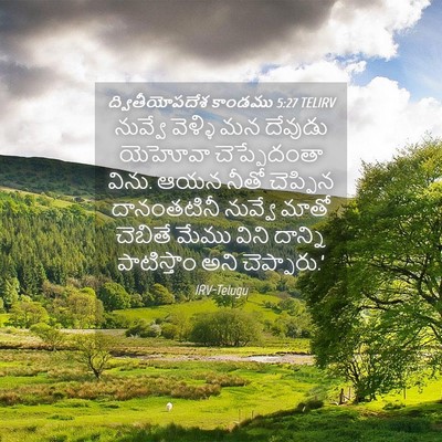 Picture 04 - ద్వితీయోపదేశ కాండము 5:27 TELIRV - నువ్వే వెళ్ళి మన - Bible Verse Picture