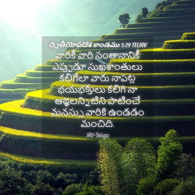 Picture 04 - ద్వితీయోపదేశ కాండము 5:29 TELIRV - వారికీ వారి - Bible Verse Picture