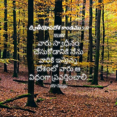 Picture 04 - ద్వితీయోపదేశ కాండము 5:32 TELIRV - వారు స్వాధీనం - Bible Verse Picture