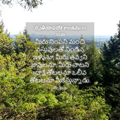 Picture 04 - ద్వితీయోపదేశ కాండము 6:11 TELIRV - మీరు నింపని మంచి - Bible Verse Picture