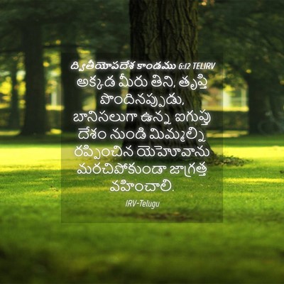 Picture 04 - ద్వితీయోపదేశ కాండము 6:12 TELIRV - అక్కడ మీరు తిని, - Bible Verse Picture