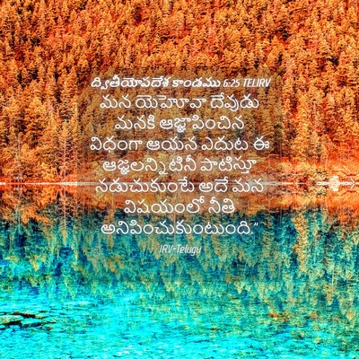 Picture 04 - ద్వితీయోపదేశ కాండము 6:25 TELIRV - మన యెహోవా దేవుడు - Bible Verse Picture