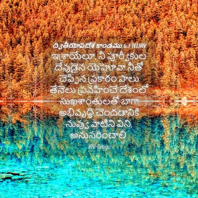 Picture 04 - ద్వితీయోపదేశ కాండము 6:3 TELIRV - ఇశ్రాయేలూ, నీ - Bible Verse Picture