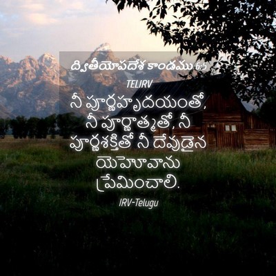 Picture 04 - ద్వితీయోపదేశ కాండము 6:5 TELIRV - నీ పూర్ణహృదయంతో, - Bible Verse Picture