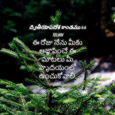 Picture 04 - ద్వితీయోపదేశ కాండము 6:6 TELIRV - ఈ రోజు నేను మీకు - Bible Verse Picture