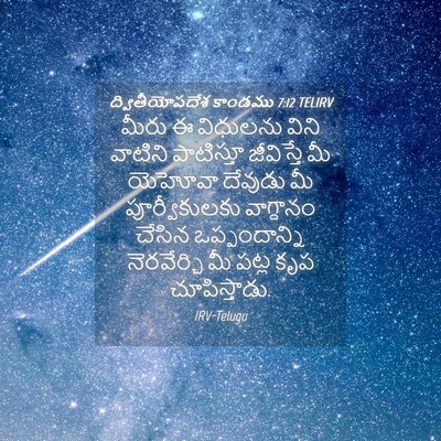 Picture 04 - ద్వితీయోపదేశ కాండము 7:12 TELIRV - మీరు ఈ విధులను - Bible Verse Picture