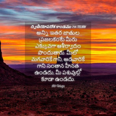 Picture 04 - ద్వితీయోపదేశ కాండము 7:14 TELIRV - అన్ని ఇతర జాతుల - Bible Verse Picture
