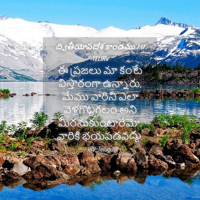 Picture 04 - ద్వితీయోపదేశ కాండము 7:17 TELIRV - ఈ ప్రజలు మా కంటే - Bible Verse Picture