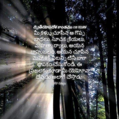 Picture 04 - ద్వితీయోపదేశ కాండము 7:19 TELIRV - మీ కళ్ళు చూసిన ఆ - Bible Verse Picture