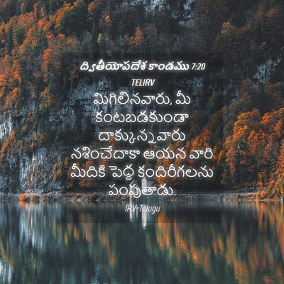 Picture 04 - ద్వితీయోపదేశ కాండము 7:20 TELIRV - మిగిలినవారు, మీ - Bible Verse Picture