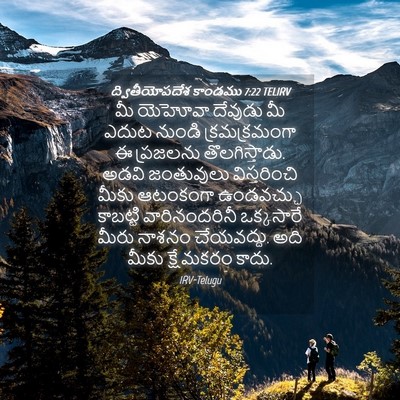 Picture 04 - ద్వితీయోపదేశ కాండము 7:22 TELIRV - మీ యెహోవా దేవుడు - Bible Verse Picture