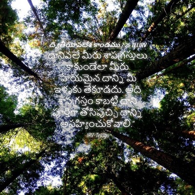 Picture 04 - ద్వితీయోపదేశ కాండము 7:26 TELIRV - దానివలే మీరు - Bible Verse Picture