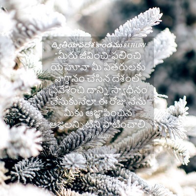 Picture 04 - ద్వితీయోపదేశ కాండము 8:1 TELIRV - “మీరు జీవించి, - Bible Verse Picture