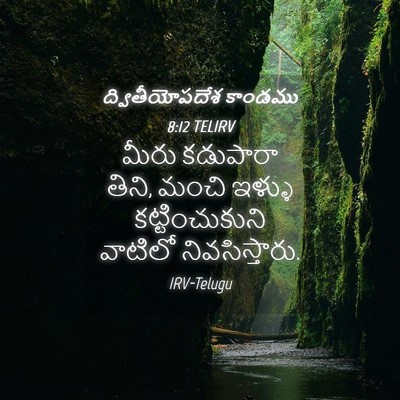 Picture 04 - ద్వితీయోపదేశ కాండము 8:12 TELIRV - మీరు కడుపారా తిని, - Bible Verse Picture