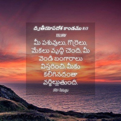 Picture 04 - ద్వితీయోపదేశ కాండము 8:13 TELIRV - మీ పశువులు, - Bible Verse Picture