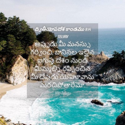 Picture 04 - ద్వితీయోపదేశ కాండము 8:14 TELIRV - అప్పుడు మీ మనస్సు - Bible Verse Picture