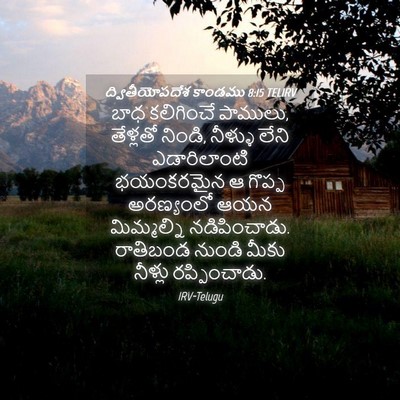 Picture 04 - ద్వితీయోపదేశ కాండము 8:15 TELIRV - బాధ కలిగించే - Bible Verse Picture
