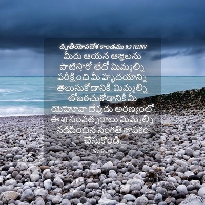 Picture 04 - ద్వితీయోపదేశ కాండము 8:2 TELIRV - మీరు ఆయన ఆజ్ఞలను - Bible Verse Picture