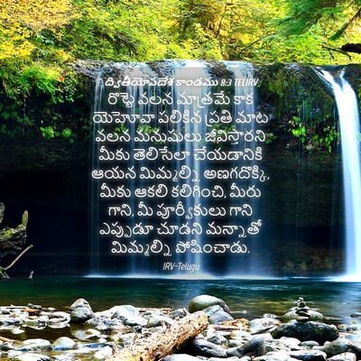 Picture 04 - ద్వితీయోపదేశ కాండము 8:3 TELIRV - రొట్టె వలన - Bible Verse Picture