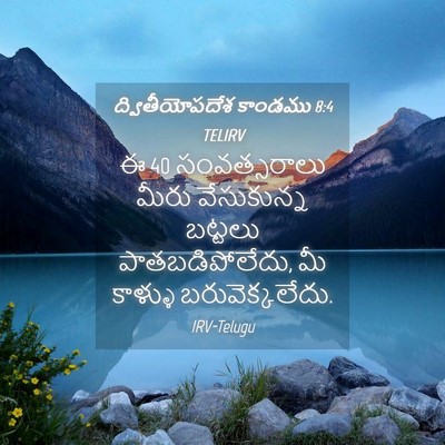 Picture 04 - ద్వితీయోపదేశ కాండము 8:4 TELIRV - ఈ 40 సంవత్సరాలు - Bible Verse Picture