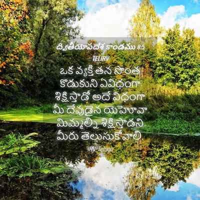 Picture 04 - ద్వితీయోపదేశ కాండము 8:5 TELIRV - ఒక వ్యక్తి తన సొంత - Bible Verse Picture