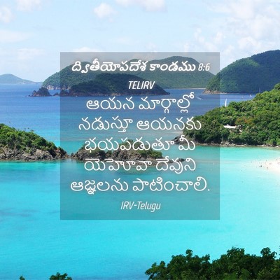 Picture 04 - ద్వితీయోపదేశ కాండము 8:6 TELIRV - ఆయన మార్గాల్లో - Bible Verse Picture
