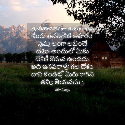 Picture 04 - ద్వితీయోపదేశ కాండము 8:9 TELIRV - మీరు తినడానికి - Bible Verse Picture