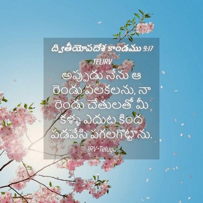 Picture 04 - ద్వితీయోపదేశ కాండము 9:17 TELIRV - అప్పుడు నేను ఆ - Bible Verse Picture