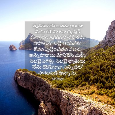 Picture 04 - ద్వితీయోపదేశ కాండము 9:18 TELIRV - మీరు యెహోవా - Bible Verse Picture