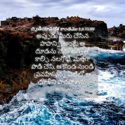 Picture 04 - ద్వితీయోపదేశ కాండము 9:21 TELIRV - అప్పుడు మీరు - Bible Verse Picture