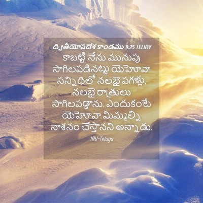 Picture 04 - ద్వితీయోపదేశ కాండము 9:25 TELIRV - కాబట్టి నేను - Bible Verse Picture