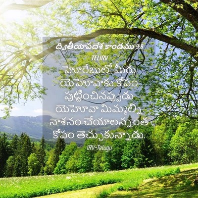 Picture 04 - ద్వితీయోపదేశ కాండము 9:8 TELIRV - హోరేబులో మీరు - Bible Verse Picture
