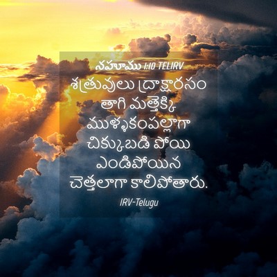 Picture 04 - నహూము 1:10 TELIRV - శత్రువులు - Bible Verse Picture
