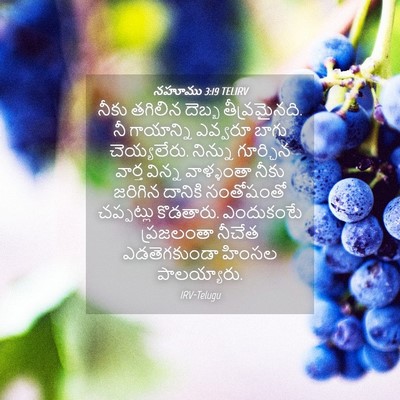 Picture 04 - నహూము 3:19 TELIRV - నీకు తగిలిన దెబ్బ - Bible Verse Picture