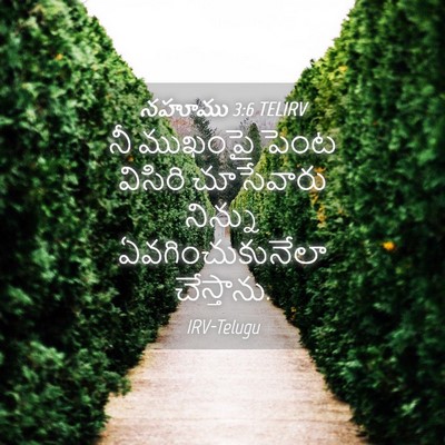 Picture 04 - నహూము 3:6 TELIRV - నీ ముఖంపై పెంట - Bible Verse Picture