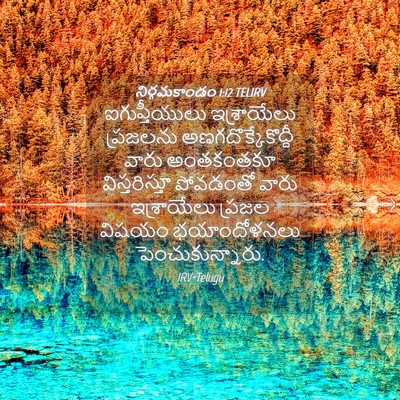 Picture 04 - నిర్గమకాండం 1:12 TELIRV - ఐగుప్తీయులు - Bible Verse Picture