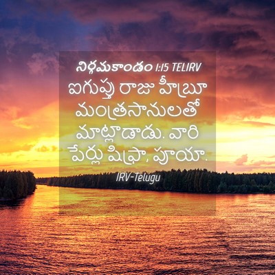 Picture 04 - నిర్గమకాండం 1:15 TELIRV - ఐగుప్తు రాజు - Bible Verse Picture